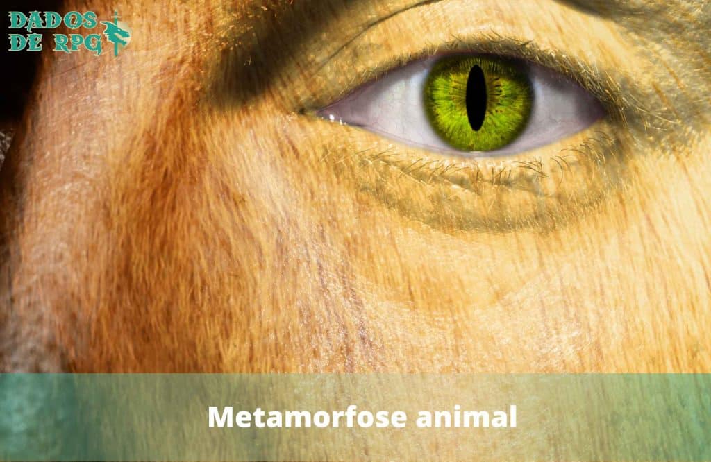 Metamorfose animal: 